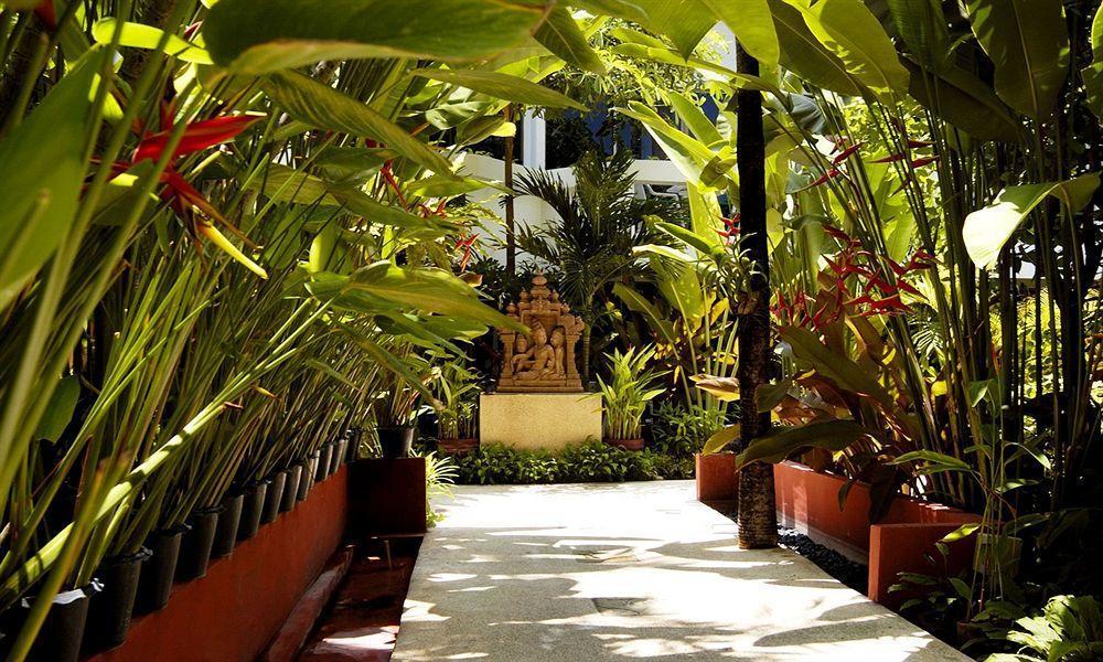 Safari Beach Hotel Patong Dış mekan fotoğraf